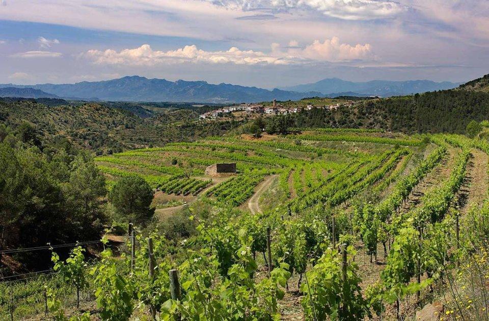 Bed and Breakfast Clos Figueras Gratallops Exteriér fotografie